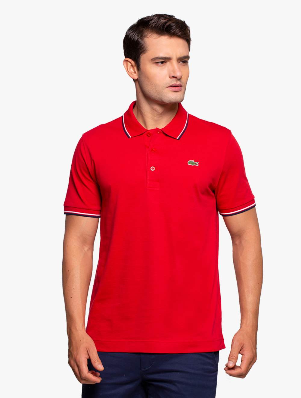 lacoste knitted polo