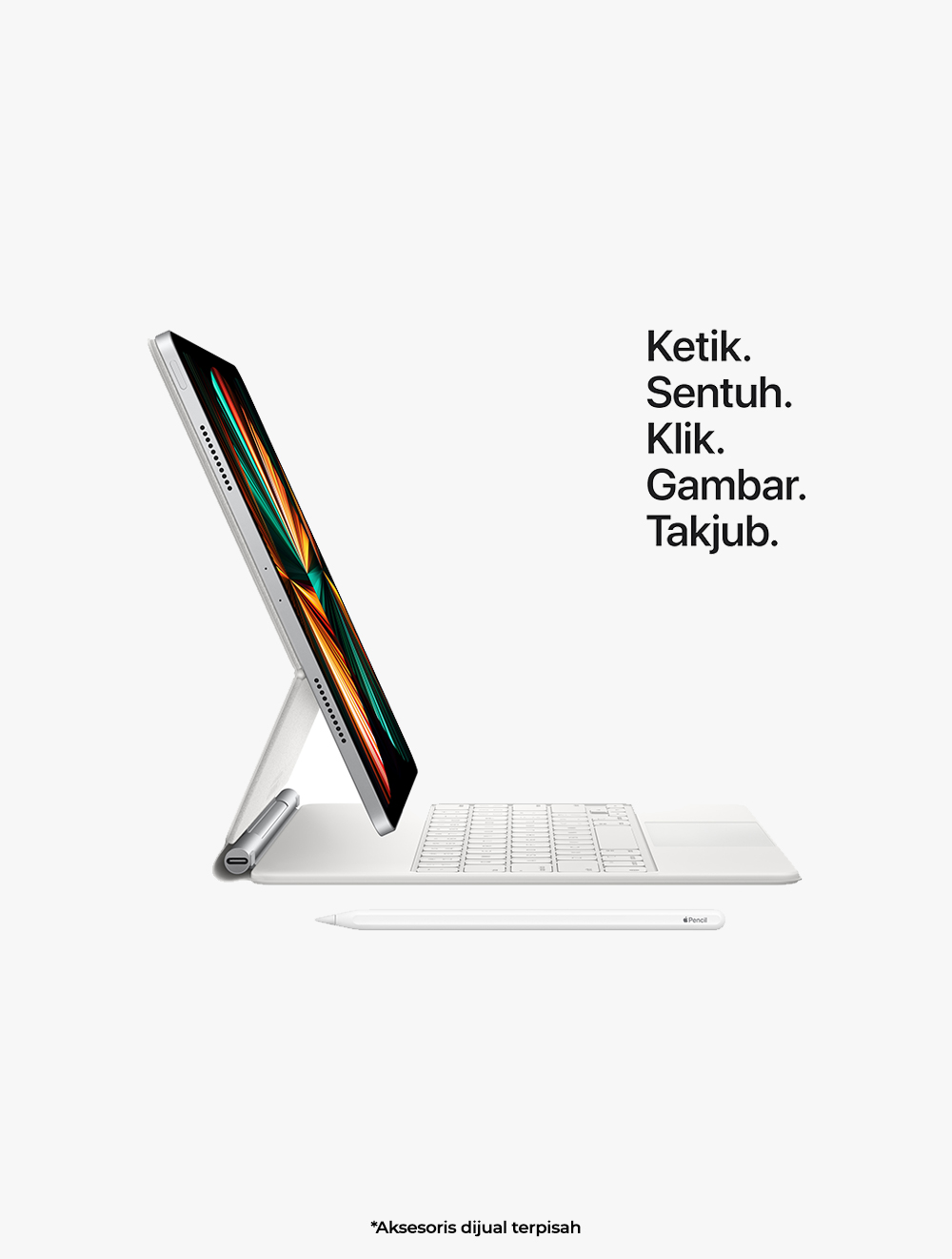 iPad Pro WiFi 256GB Space Grey 11 inch thumbnail 8