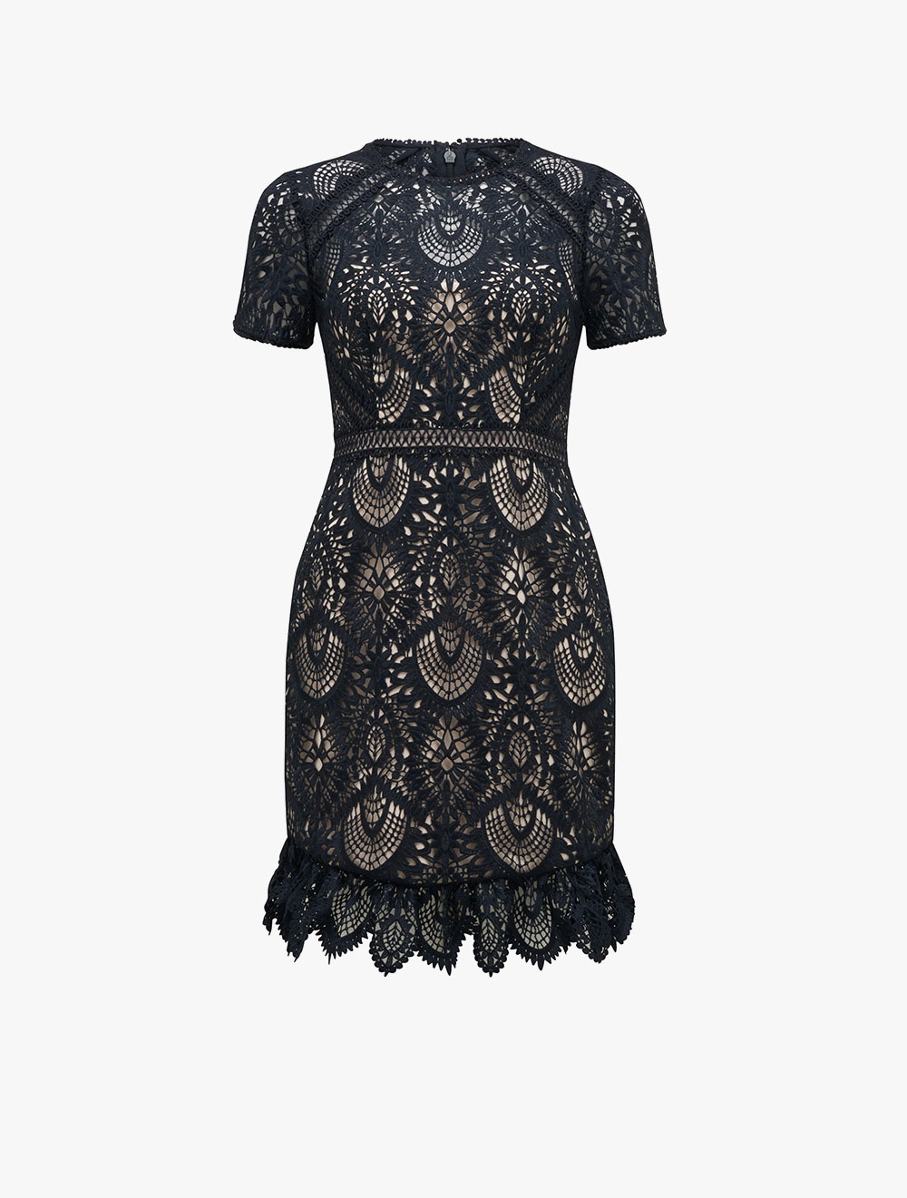 austin fit and flare lace dress